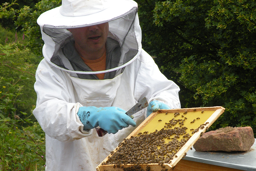 Visuel atelier initiation apiculture
