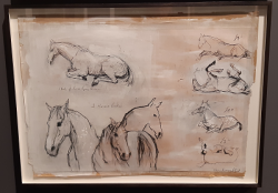 croquis chevaux Olivia